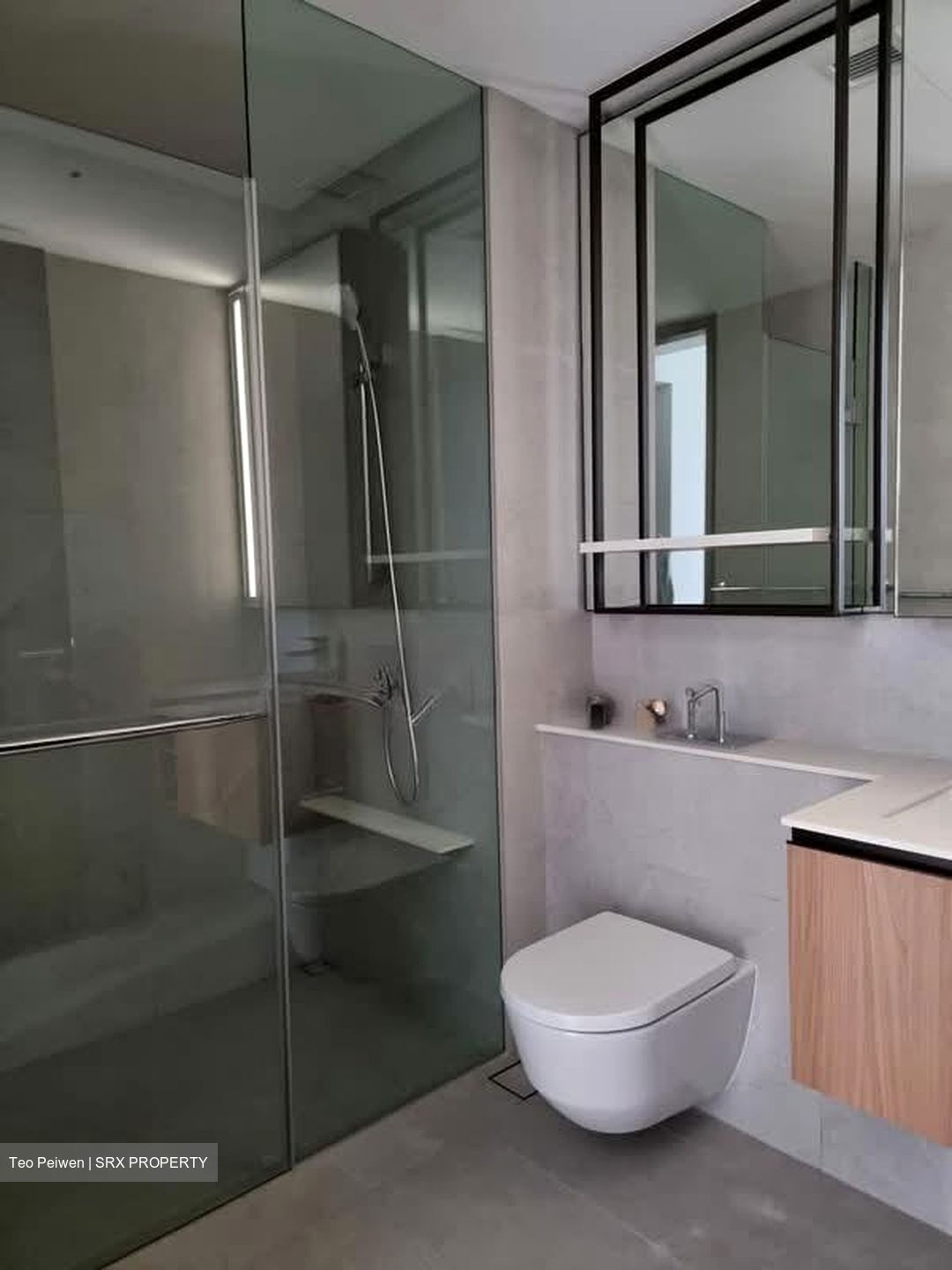 JadeScape (D20), Condominium #538451391
